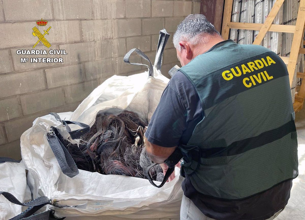 La-Guardia-Civil-desmantela-banda-robacobre.jpg