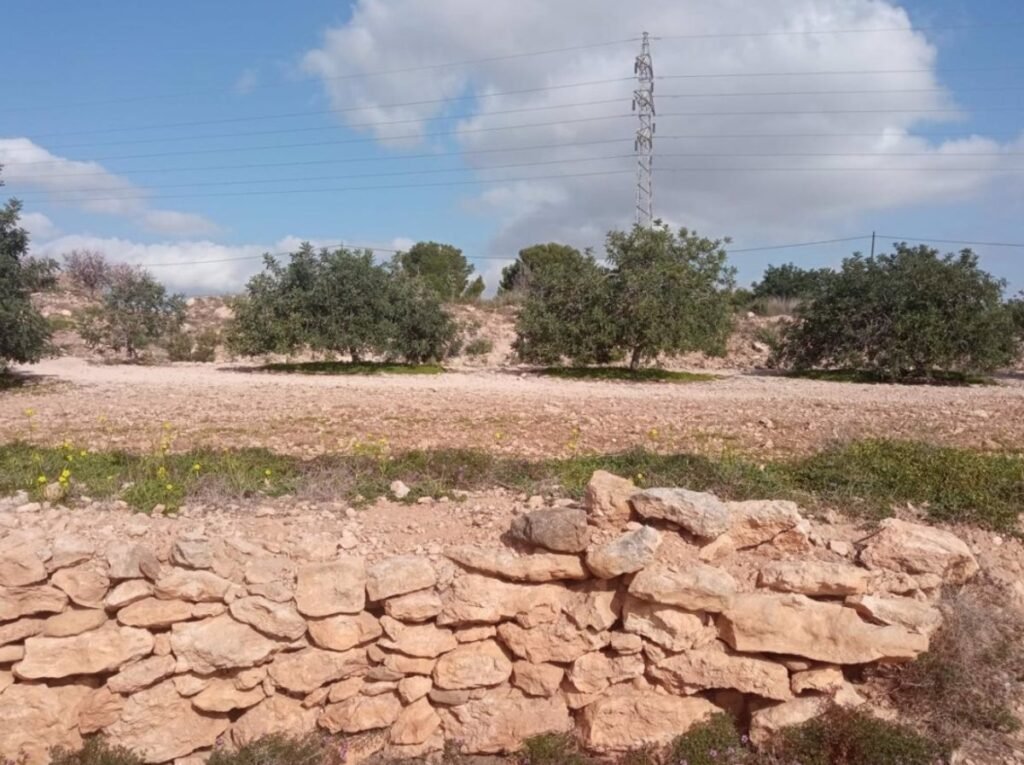 Interes-declarado-en-sitio-arqueologico-de-Rambla-por-Penas-Blancas.jpg