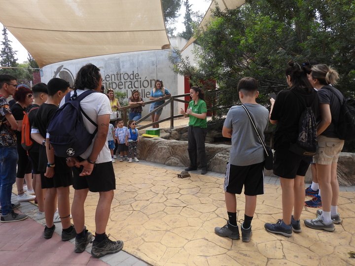 Visita al centro de Recuperación de Fauna Silvestre El Valle -durante 2024-, donde se rehabilitan las tortugas mientras no son liberadas.