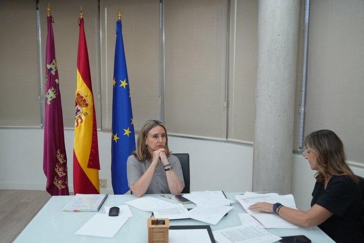 La consejera de Política Social, Familias e Igualdad, Conchita Ruiz, during the Conferencia Sectorial de Infancia vía telemática