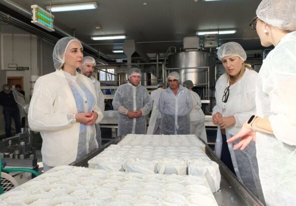 La-exportacion-de-queso-de-la-Region-de-Murcia-crece.jpg