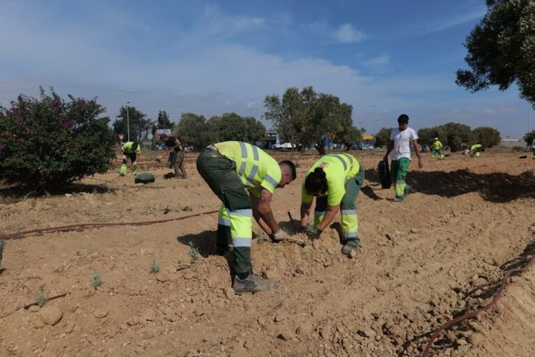 Renovacion-de-la-rotonda-de-Las-Tejeras-para-embellecer-el.jpg