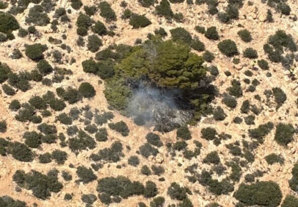 Controlado-incendio-en-zona-de-dificil-acceso-en-La-Algameca.jpg