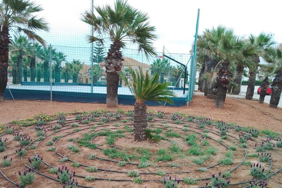 Actuaciones en en el Litoral por parte del Ayuntamiento de Cartagena